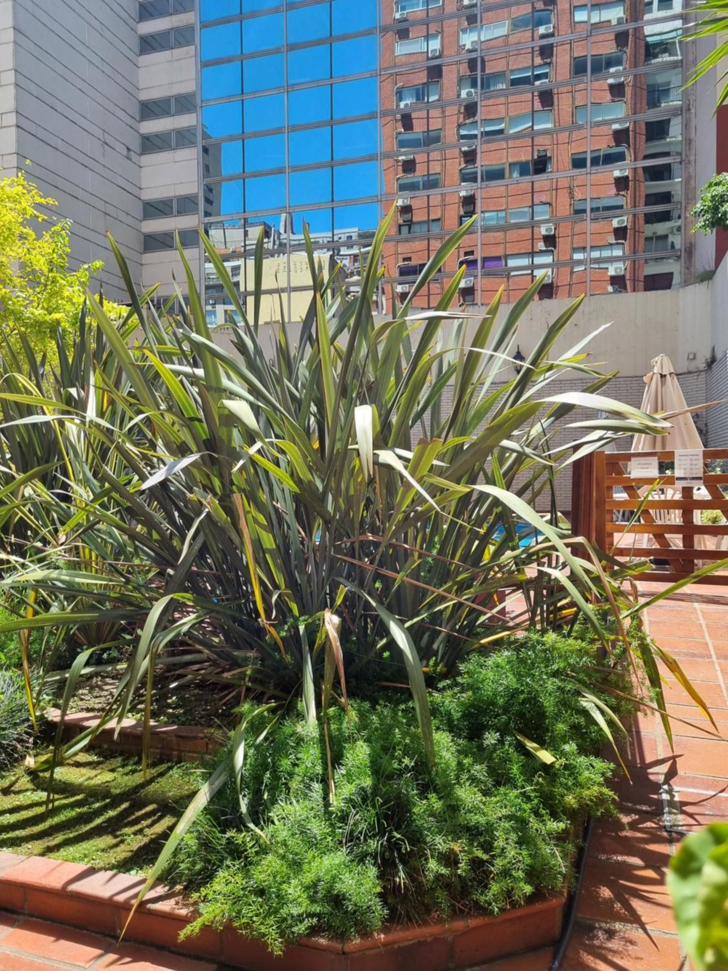 Suipacha Exclusive Apart - Buenos Aires — Photos 1